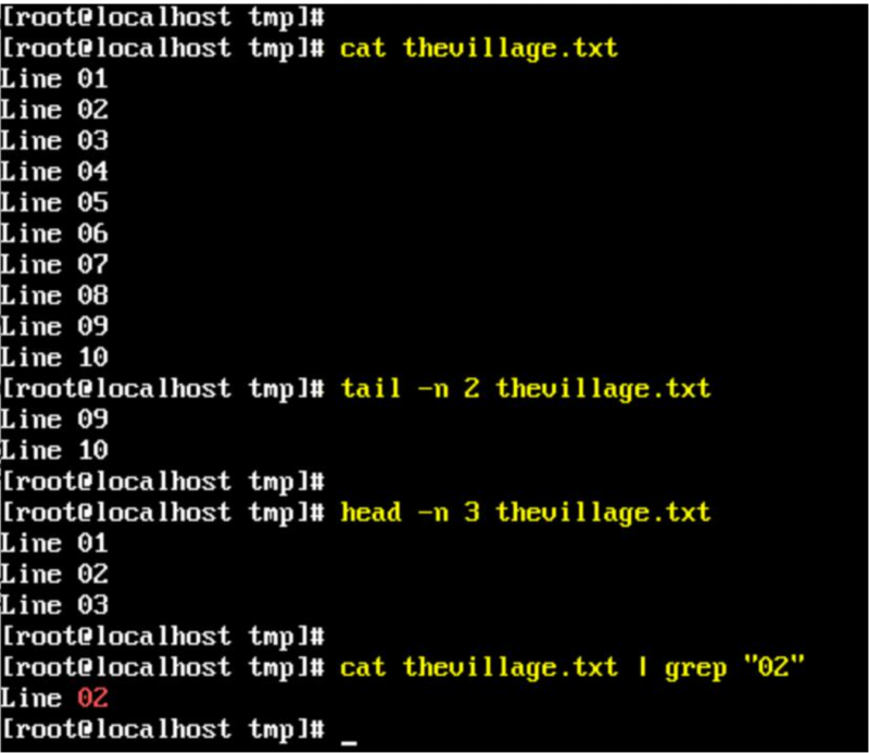 在Linux bash shell中讀取文本文件：簡單方法與示例