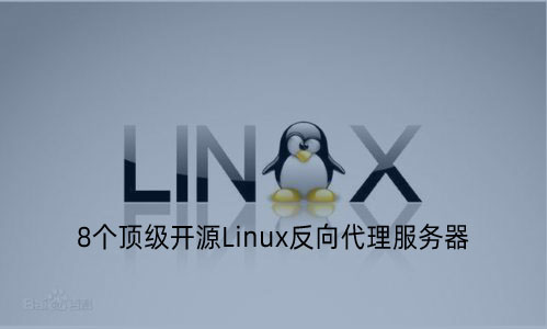 8大頂級開源Linux反向代理服務器推薦 - 小浪云數據